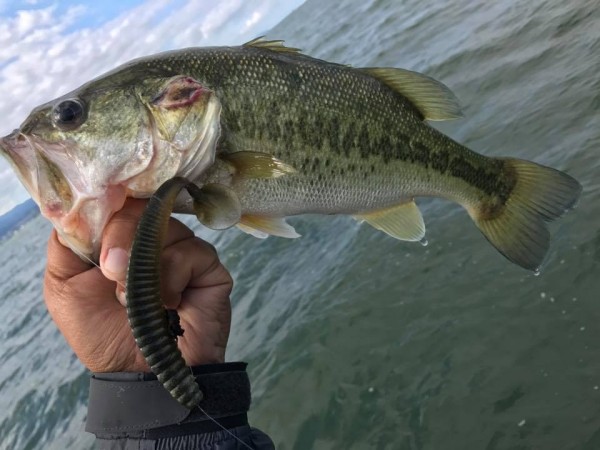 hideup 永野総一朗 ブログ写真 2017/06/13