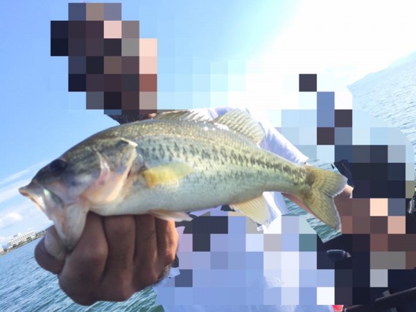 hideup 永野総一朗 ブログ写真 2016/10/18