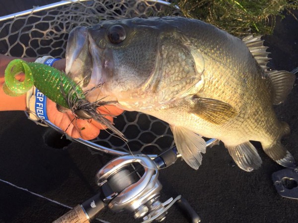 hideup 永野総一朗 ブログ写真 2016/08/04
