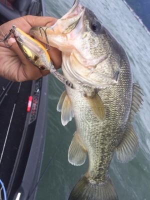 hideup 永野総一朗 ブログ写真 2017/05/17