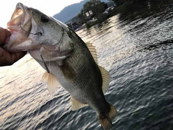 hideup 永野総一朗 ブログ写真 2017/10/09