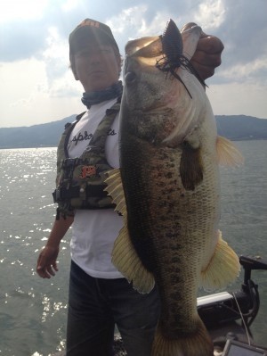 hideup 豌ｸ驥守ｷ丈ｸ譛� 繝悶Ο繧ｰ蜀咏悄 2013/05/17