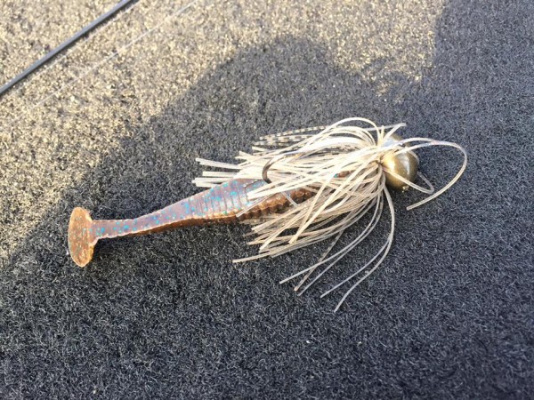 hideup 永野総一朗 ブログ写真 2016/02/25