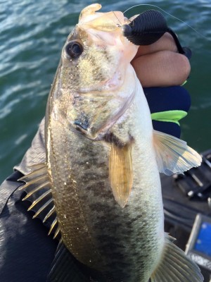 hideup 永野総一朗 ブログ写真 2016/03/01