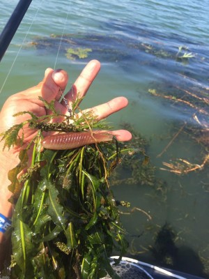 hideup 永野総一朗 ブログ写真 2016/09/27