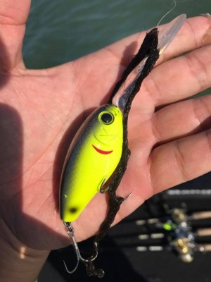 hideup 永野総一朗 ブログ写真 2017/10/27