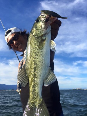 hideup 豌ｸ驥守ｷ丈ｸ譛� 繝悶Ο繧ｰ蜀咏悄 2016/08/10