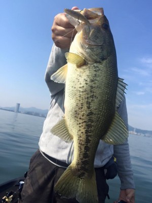 hideup 永野総一朗 ブログ写真 2016/05/25