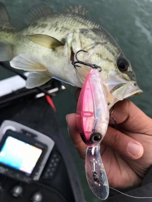 hideup 永野総一朗 ブログ写真 2017/11/18