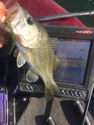 hideup 永野総一朗 ブログ写真 2015/10/16