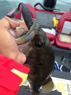 hideup 永野総一朗 ブログ写真 2014/09/04