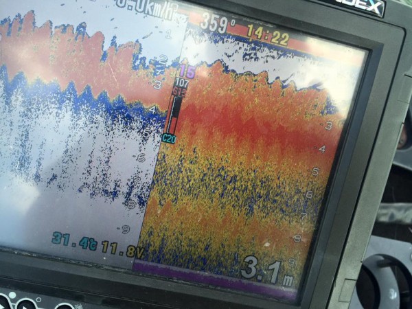 hideup 永野総一朗 ブログ写真 2016/08/26