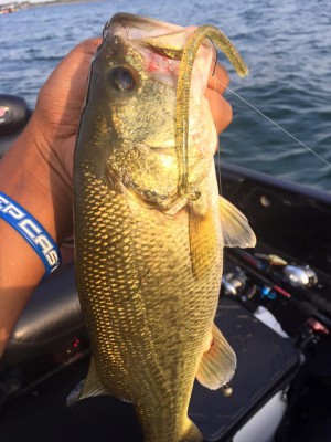 hideup 永野総一朗 ブログ写真 2016/09/11