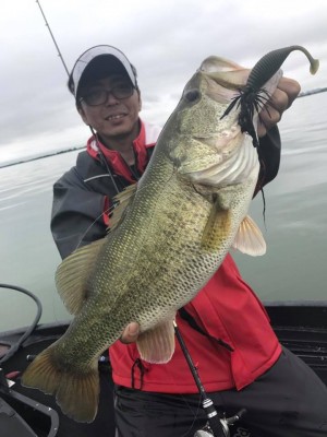 hideup 永野総一朗 ブログ写真 2017/06/22