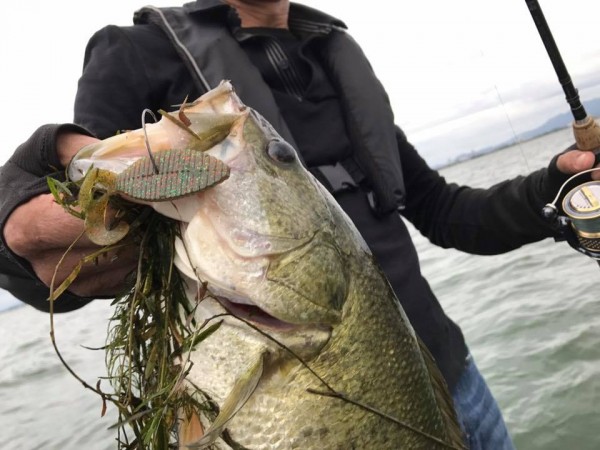 hideup 永野総一朗 ブログ写真 2017/09/11