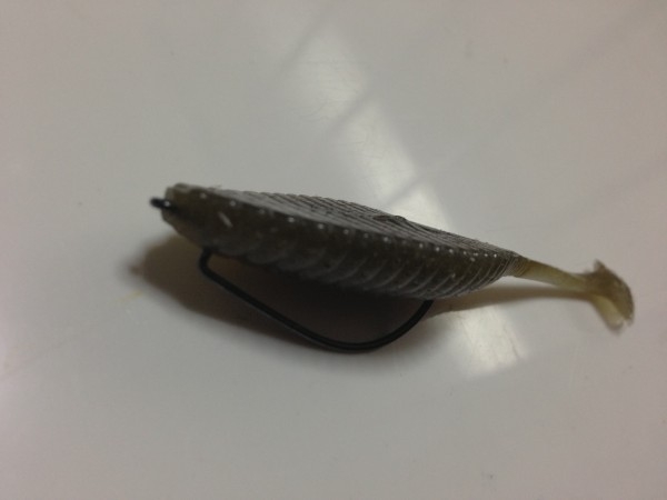 hideup 永野総一朗 ブログ写真 2013/01/21