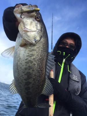 hideup 永野総一朗 ブログ写真 2017/01/14