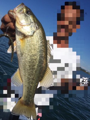 hideup 永野総一朗 ブログ写真 2016/10/18