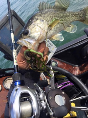 hideup 永野総一朗 ブログ写真 2016/04/09