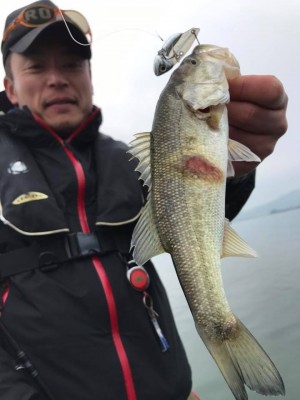 hideup 永野総一朗 ブログ写真 2017/12/06