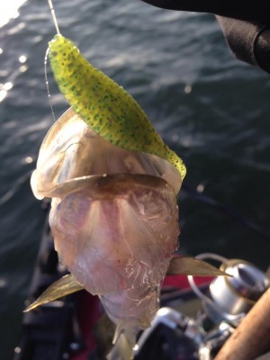 hideup 永野総一朗 ブログ写真 2014/11/11