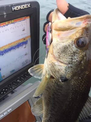 hideup 豌ｸ驥守ｷ丈ｸ譛� 繝悶Ο繧ｰ蜀咏悄 2017/01/08