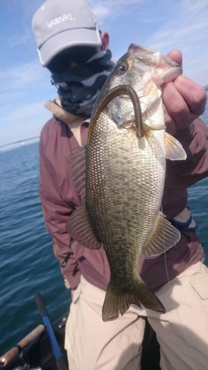 hideup 永野総一朗 ブログ写真 2017/03/26