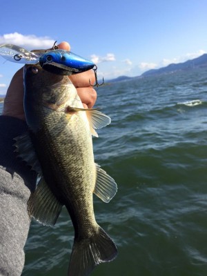 hideup 永野総一朗 ブログ写真 2016/04/15