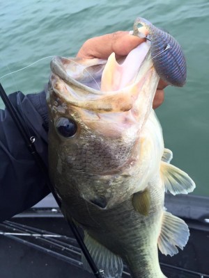 hideup 永野総一朗 ブログ写真 2016/06/04