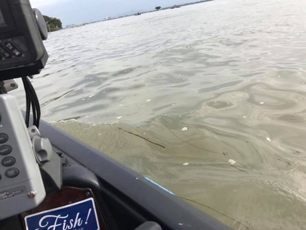 hideup 永野総一朗 ブログ写真 2017/10/24