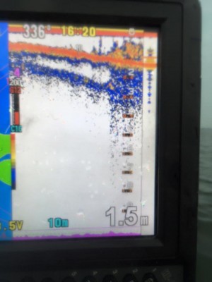 hideup 永野総一朗 ブログ写真 2016/09/18