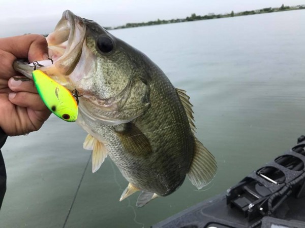 hideup 永野総一朗 ブログ写真 2017/09/12