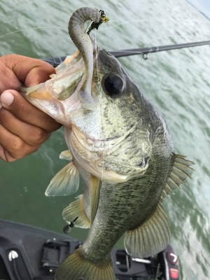 hideup 豌ｸ驥守ｷ丈ｸ譛� 繝悶Ο繧ｰ蜀咏悄 2017/08/05