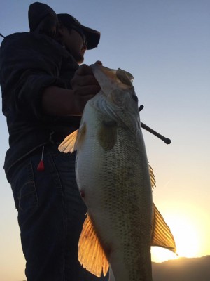 hideup 永野総一朗 ブログ写真 2017/04/30