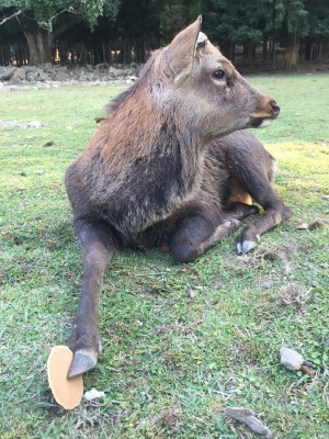 hideup 永野総一朗 ブログ写真 2015/10/19