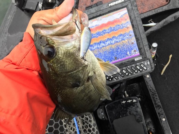 hideup 永野総一朗 ブログ写真 2017/10/17