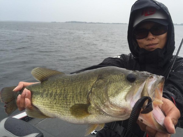 hideup 永野総一朗 ブログ写真 2015/09/06