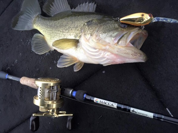 hideup 永野総一朗 ブログ写真 2016/03/06