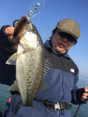 hideup 永野総一朗 ブログ写真 2016/11/07