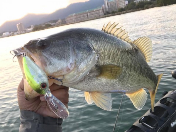 hideup 永野総一朗 ブログ写真 2017/11/12