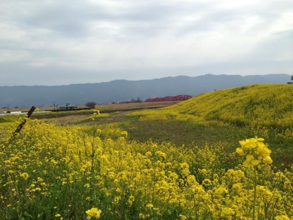 hideup 永野総一朗 ブログ写真 2015/03/16