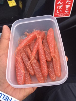 hideup 永野総一朗 ブログ写真 2017/05/19