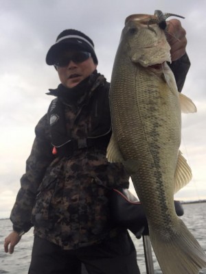 hideup 永野総一朗 ブログ写真 2015/11/19