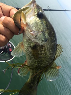 hideup 永野総一朗 ブログ写真 2016/05/25