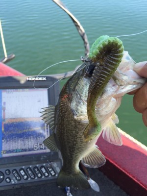 hideup 永野総一朗 ブログ写真 2015/10/05