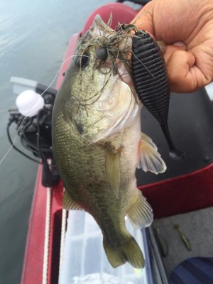 hideup 永野総一朗 ブログ写真 2015/08/19