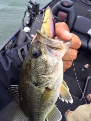 hideup 永野総一朗 ブログ写真 2016/05/03