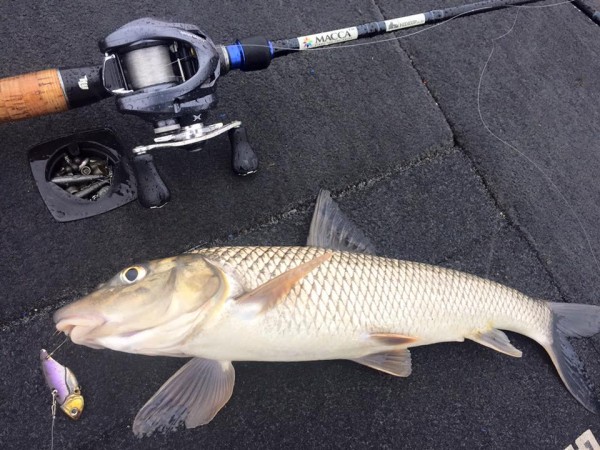 hideup 永野総一朗 ブログ写真 2015/11/08