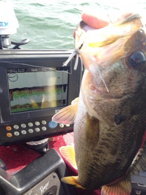 hideup 永野総一朗 ブログ写真 2014/11/13