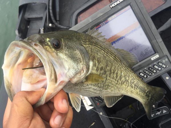 hideup 永野総一朗 ブログ写真 2017/04/21